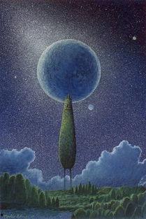 今夜好时光,共赴浪漫星辰之旅