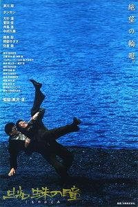 蜘蛛之瞳,揭秘神秘生物的视觉世界